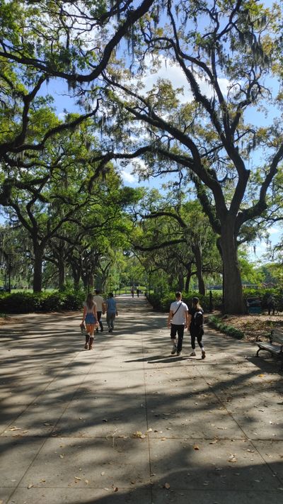 photo of the central park in Savannah